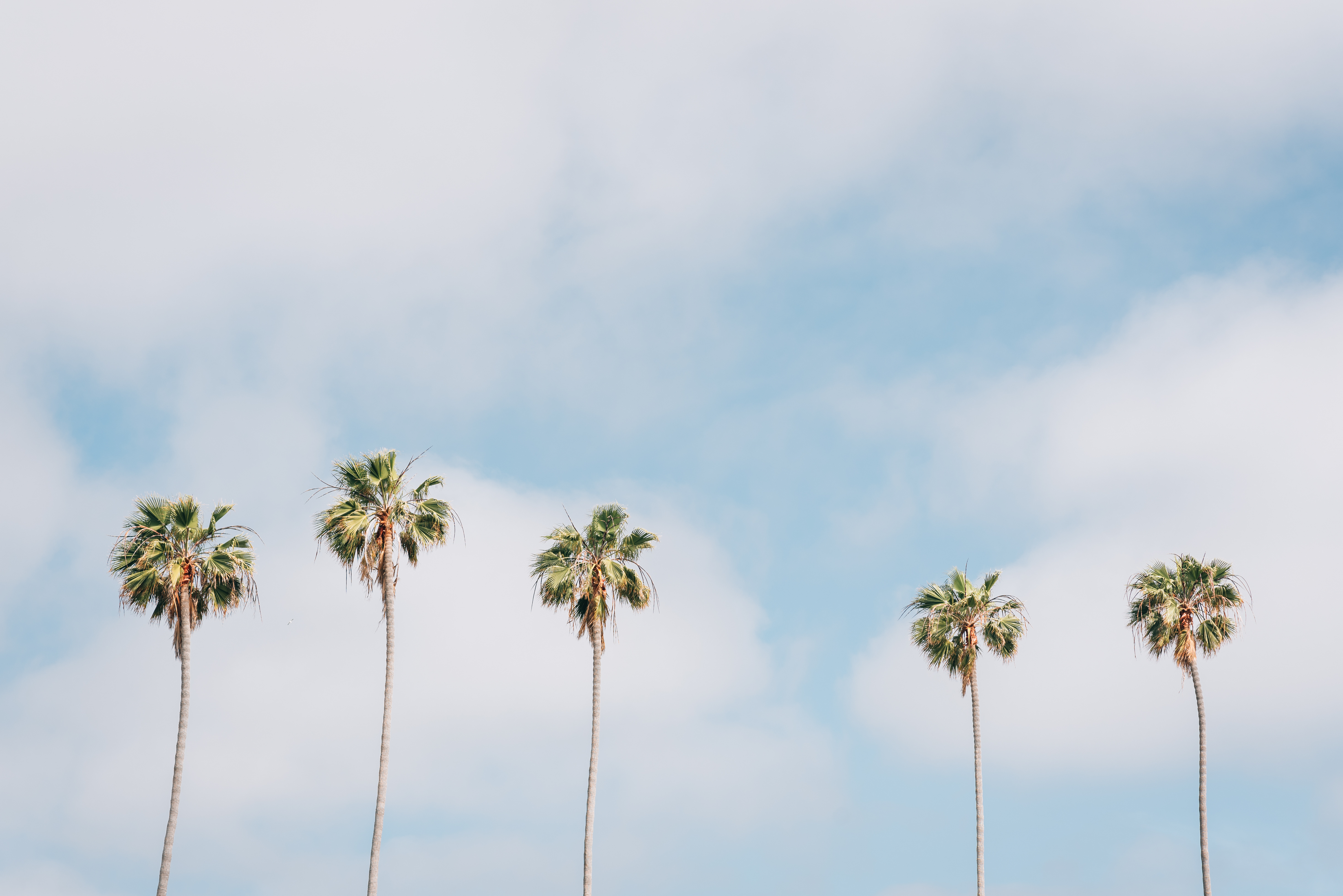 San Diego coastal landscape