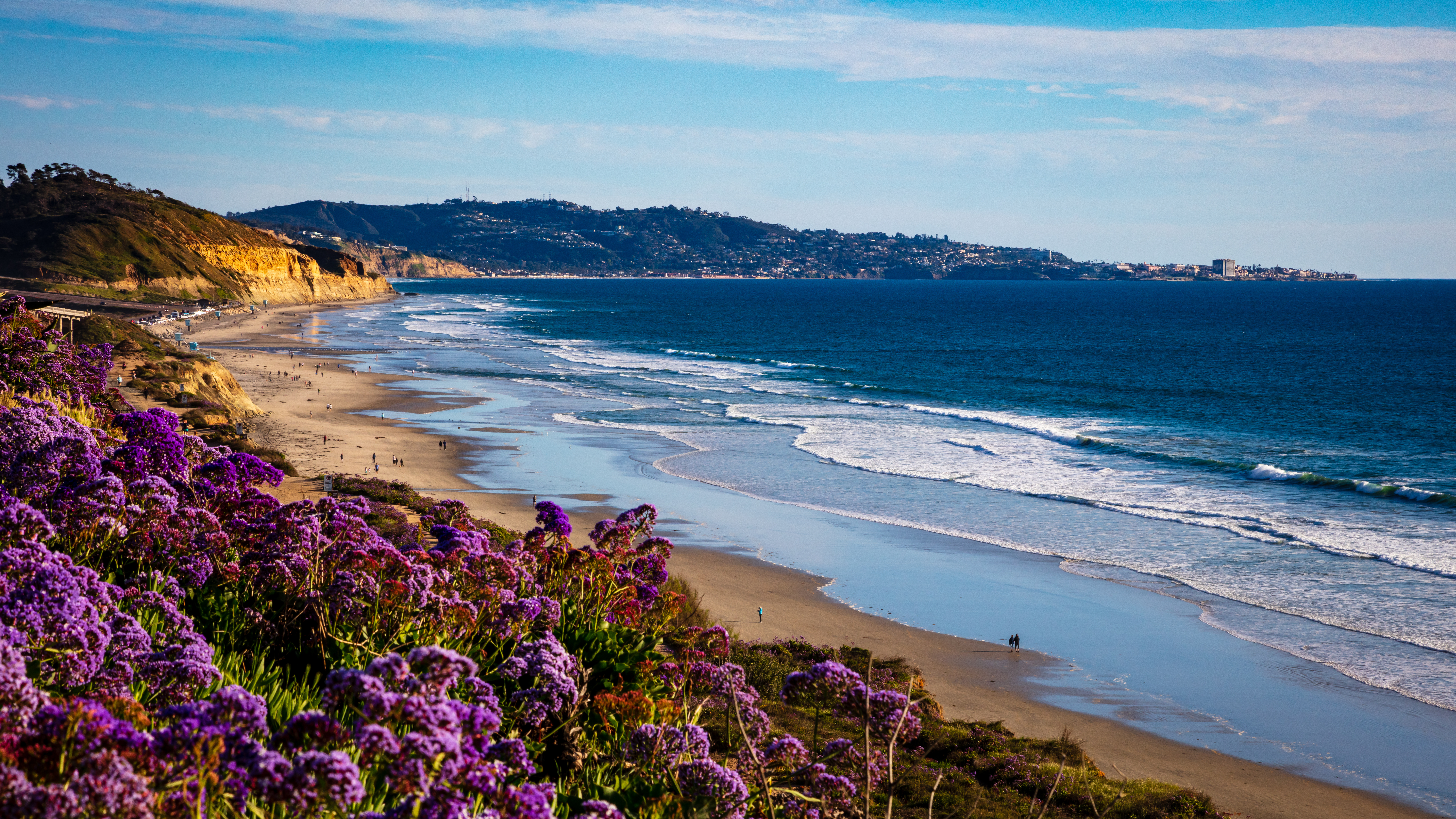 San Diego coastal landscape